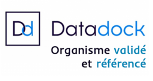 Data_Dock_Logo2-300x160